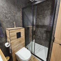 KAROT DAWID MARCHEWKA