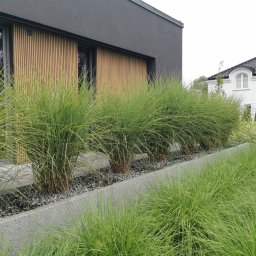 Zakładanie ogrodów Ślesin 2