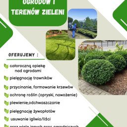 Pielęgnacja ogrodów Kościerzyna 1