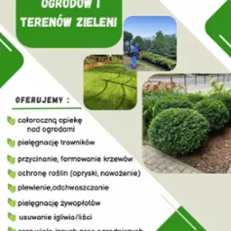 Grafika reklamowa firmy ogrodniczej Bota Nika, prezentująca usługi: całoroczną opiekę nad ogrodami, pielęgnację trawników, formowanie krzewów, ochronę roślin, plewienie, pielęgnację żywopłotów...