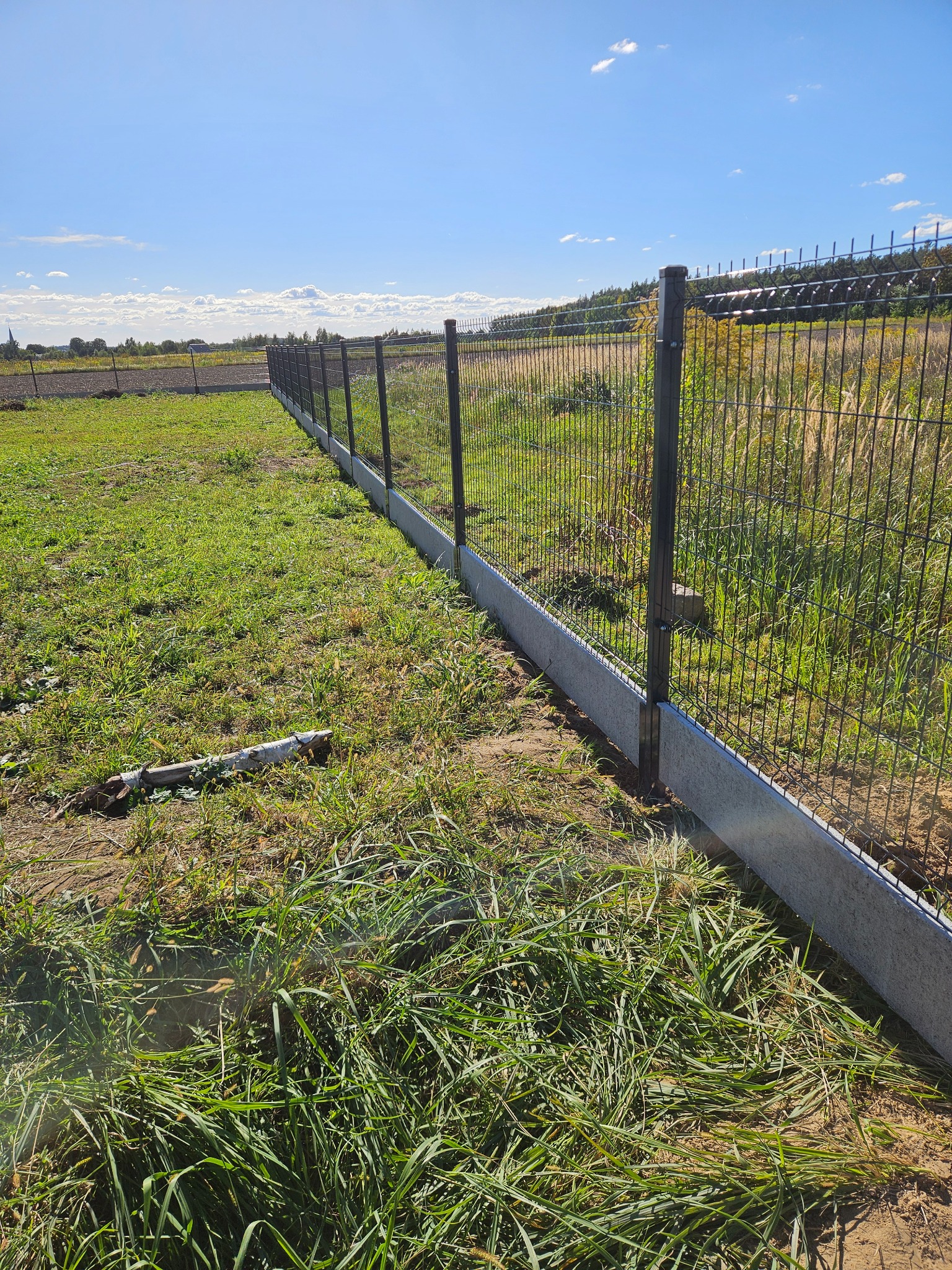 Nowoczesne ogrodzenie panelowe z podmurówką betonową na zielonej działce, widok z bliska, słoneczny dzień. Metalowa siatka ogrodzeniowa z ciemnymi słupkami.