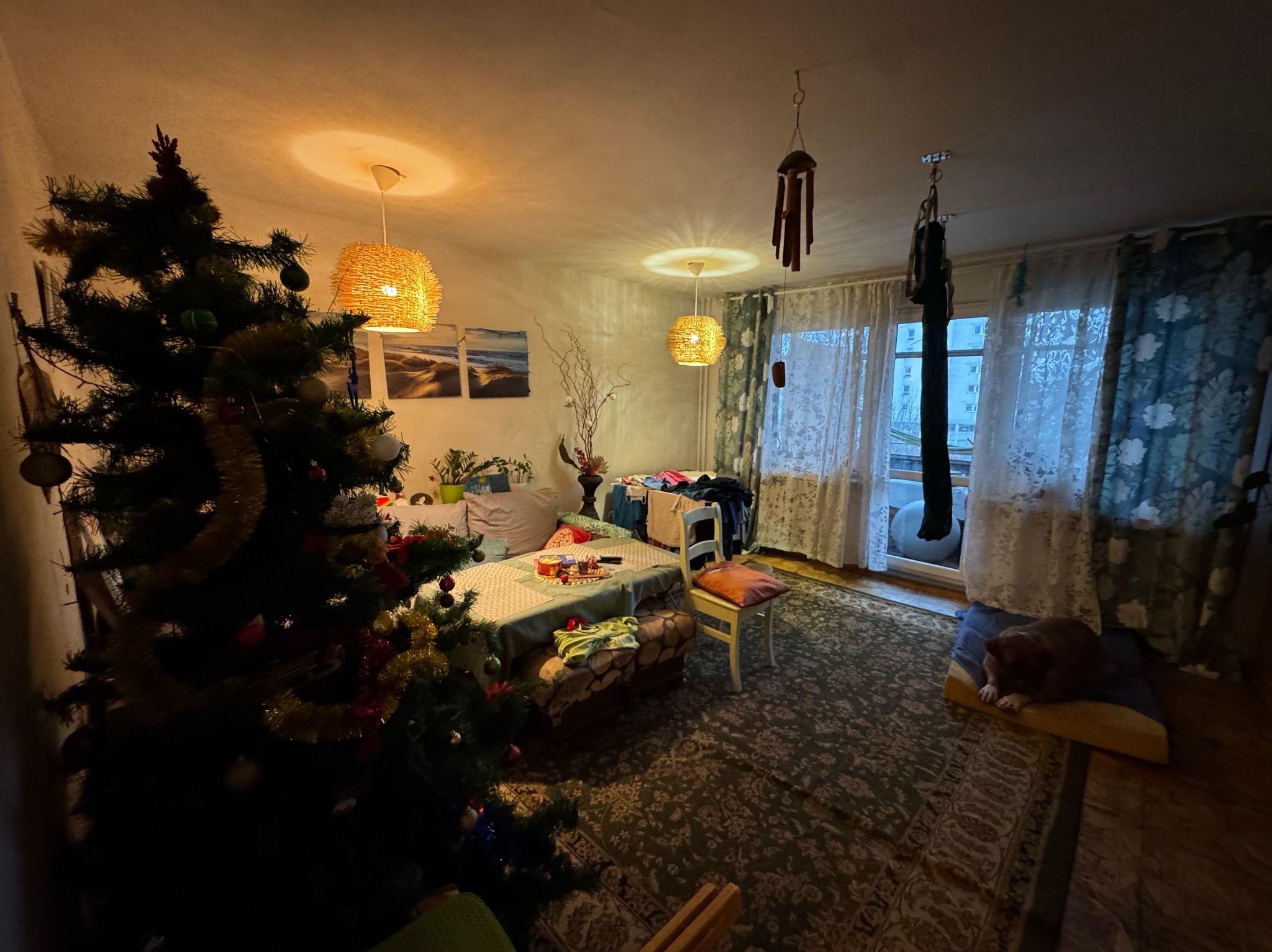 Pokój z choinką, dywanem w orientalne wzory i psem leżącym na posłaniu przy balkonie, oświetlony trzema lampami z abażurami z wikliny.