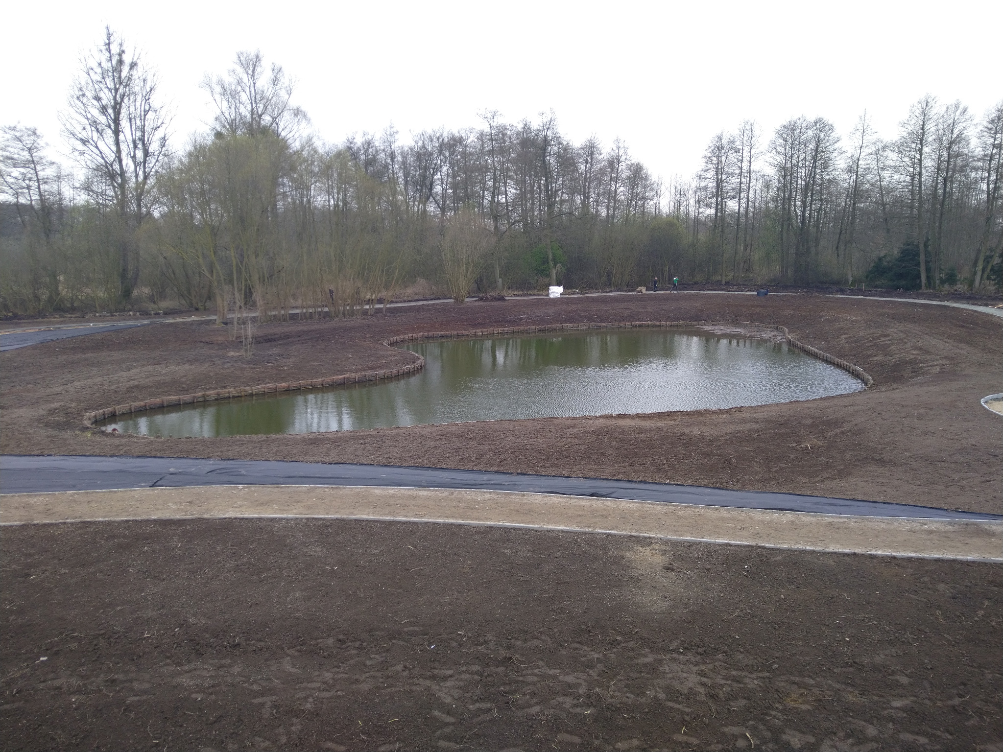 Krajobraz po pracach ziemnych z nowo wykopanym stawem o nieregularnym kształcie, otoczonym drewnianym obrzeżem i świeżo utwardzoną ścieżką, w tle drzewa bez liści.
