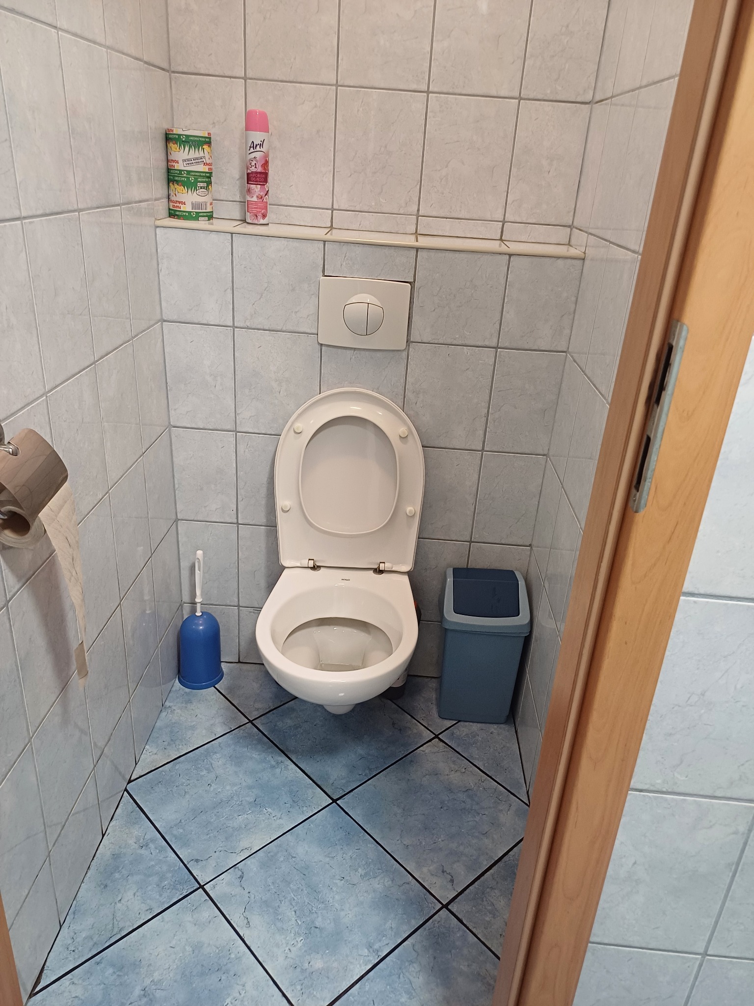 Toaleta z otwartą klapą w łazience wyłożonej płytkami, widoczny kosz na śmieci, szczotka do WC i zapas papieru toaletowego na ścianie.