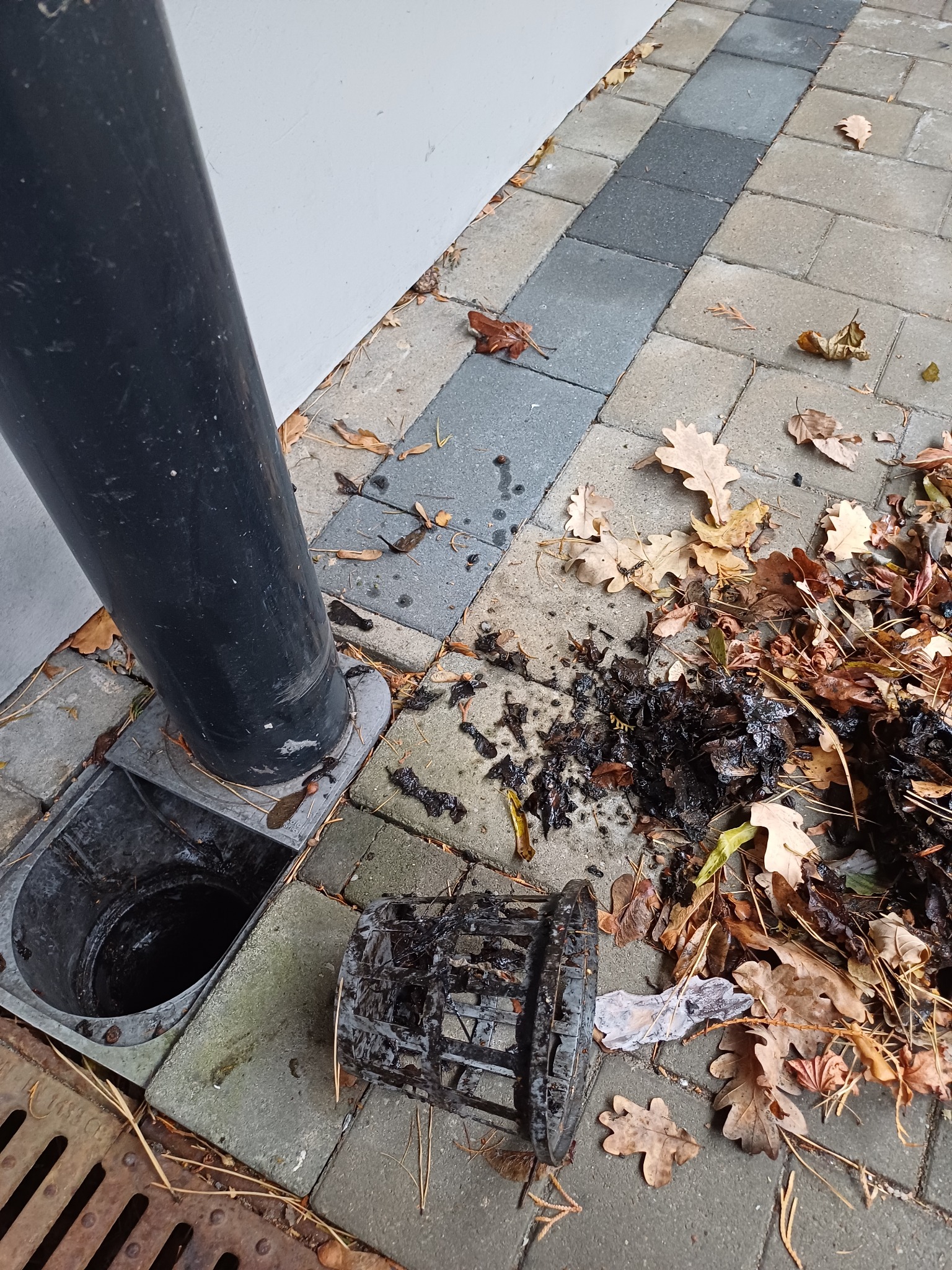 Udrożniony odpływ rynnowy z wyjętym koszem, obok leżą liście i błoto.