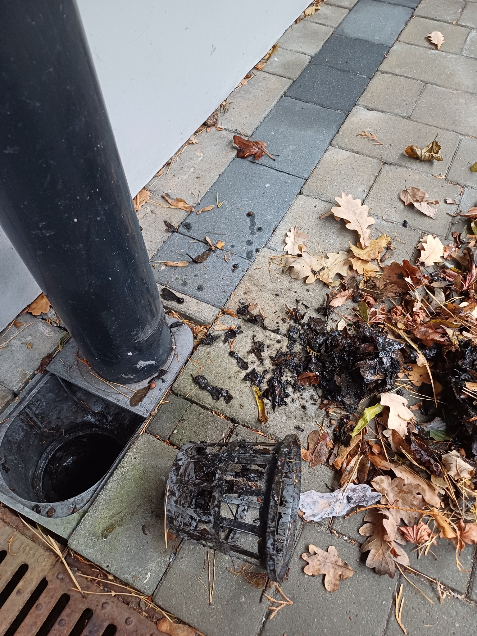 Udrożniony odpływ rynnowy z wyjętym koszyczkiem zabezpieczającym, obok zgromadzone liście i błoto na kostce brukowej.