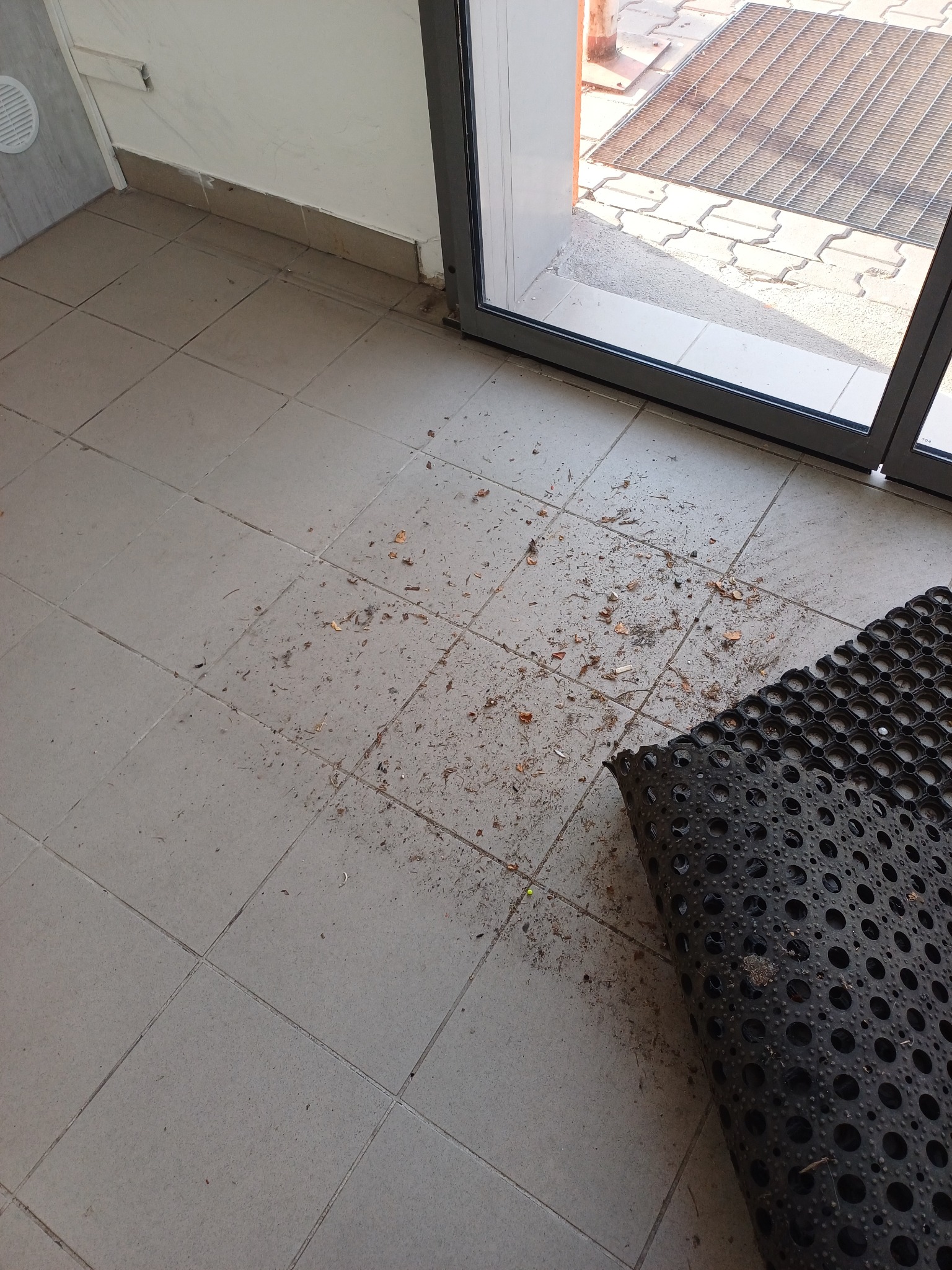 Brudna podłoga z szarych płytek przy wejściu do budynku, pokryta drobnymi śmieciami i resztkami organicznymi, obok leży czarna, gumowa wycieraczka z okrągłymi otworami.