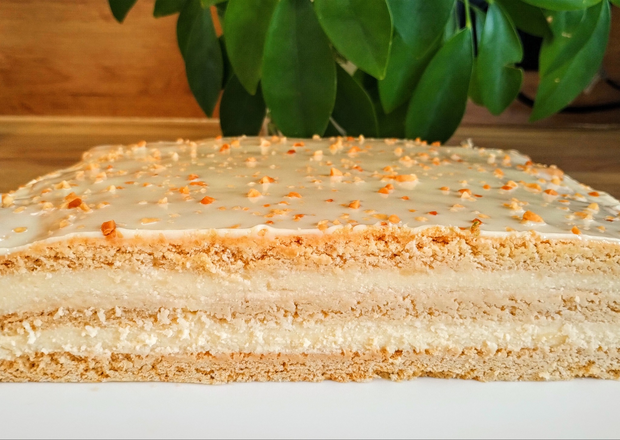 Przekrój tortu z jasnymi warstwami kremu i biszkoptu, polany białą polewą i posypany posiekanymi orzechami, ustawiony na białym tle, z zieloną rośliną w tle.