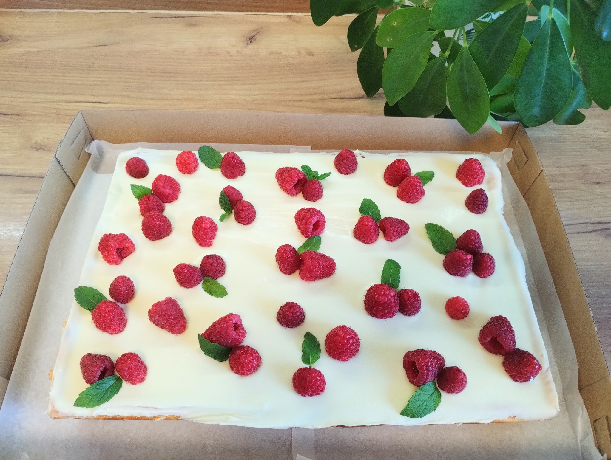 Prostokątny tort z białym kremem, udekorowany świeżymi malinami i listkami mięty, umieszczony w kartonowym pudełku na drewnianym stole, z rośliną w tle.