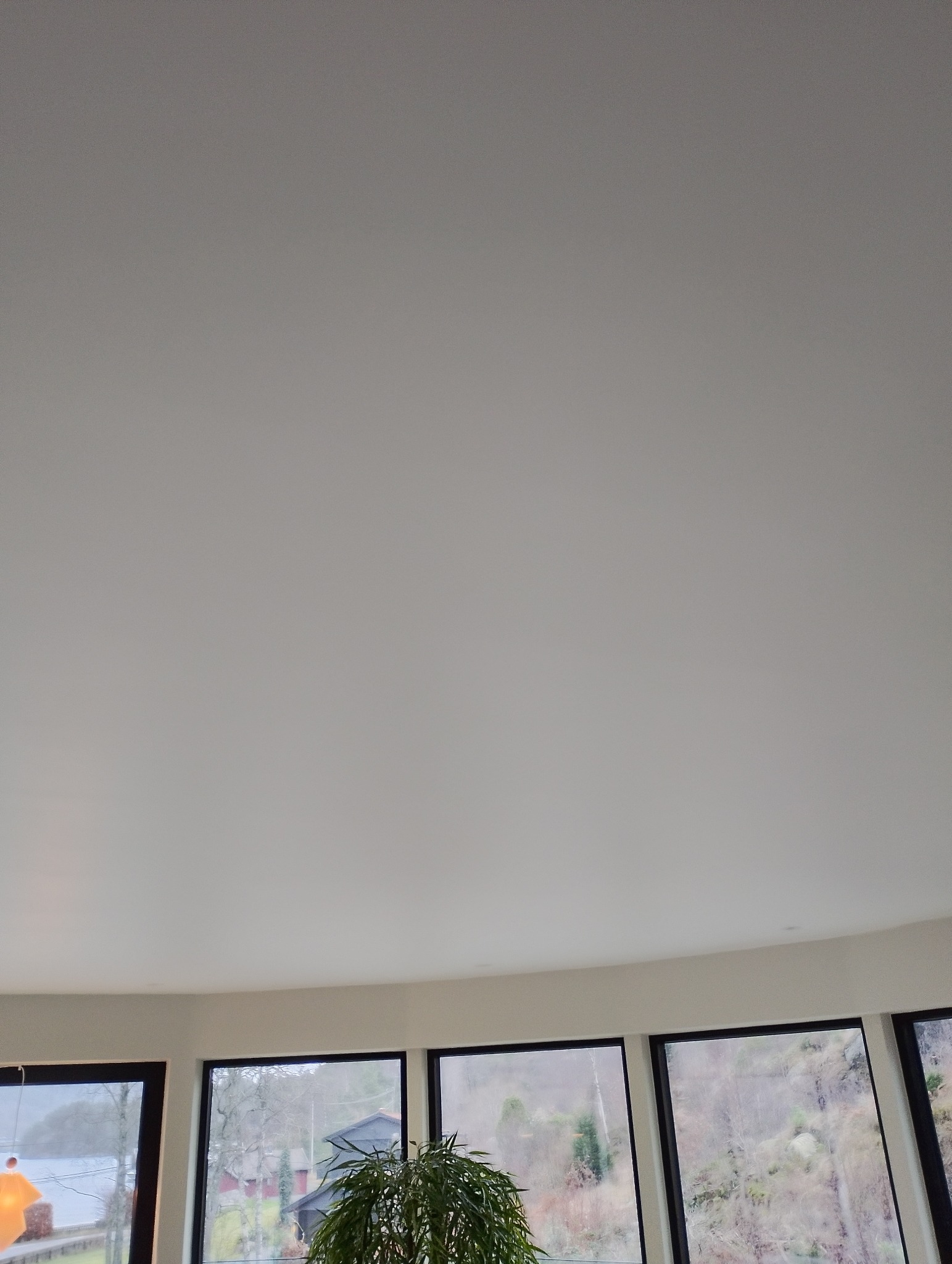 Biały sufit w nowoczesnym wnętrzu z dużymi oknami, przez które widać zieleń. W dolnej części kadru widoczna roślina doniczkowa.