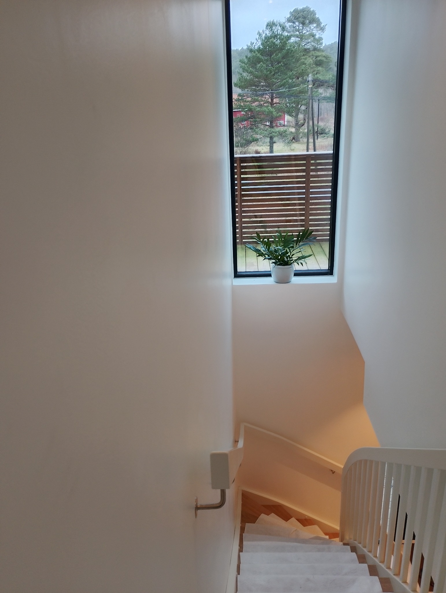 Jasne wnętrze: schody zabezpieczone folią malarską, białe ściany, okno z widokiem na zieleń. Minimalistyczny design, świeżo po malowaniu.