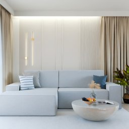 Projekt wnętrza salonu