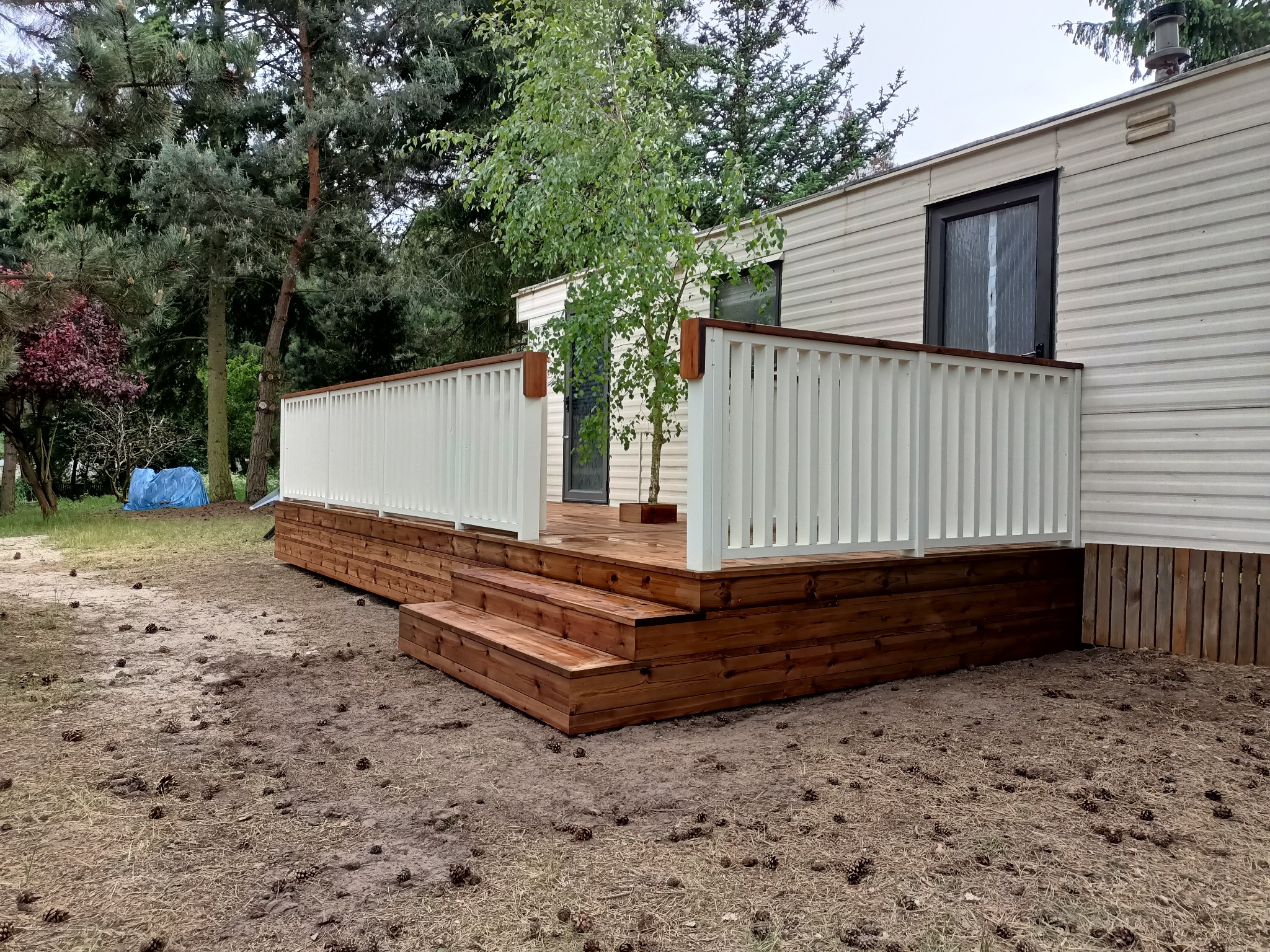 Nowoczesny taras drewniany z białymi balustradami przy domu mobilnym. Schody z drewna prowadzą na taras, na którym rośnie małe drzewko. Otoczenie leśne, igliwie na ziemi.