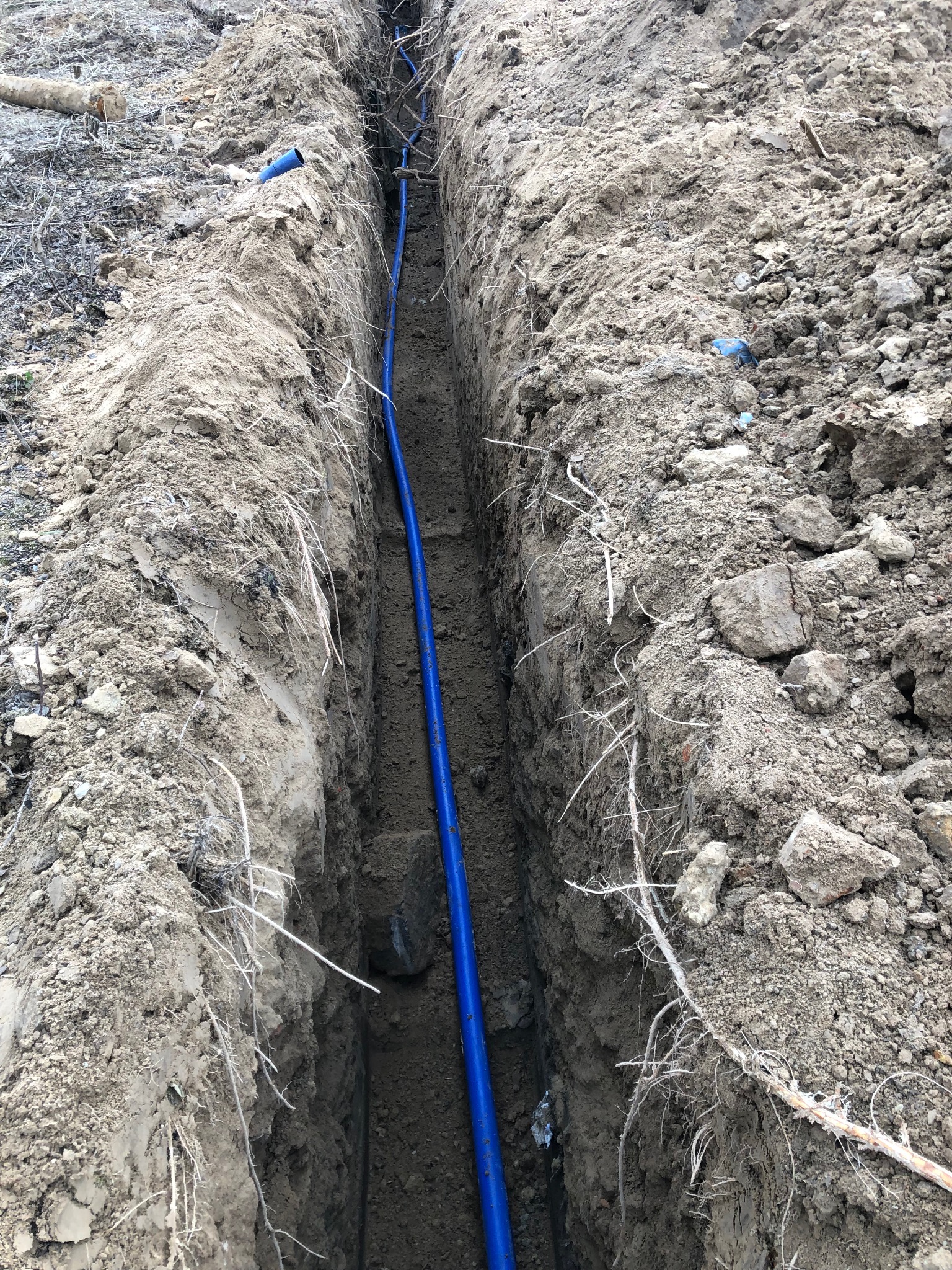 Wąski wykop w ziemi z ułożoną niebieską rurą wodociągową, widoczne korzenie i kamienie w ziemi.