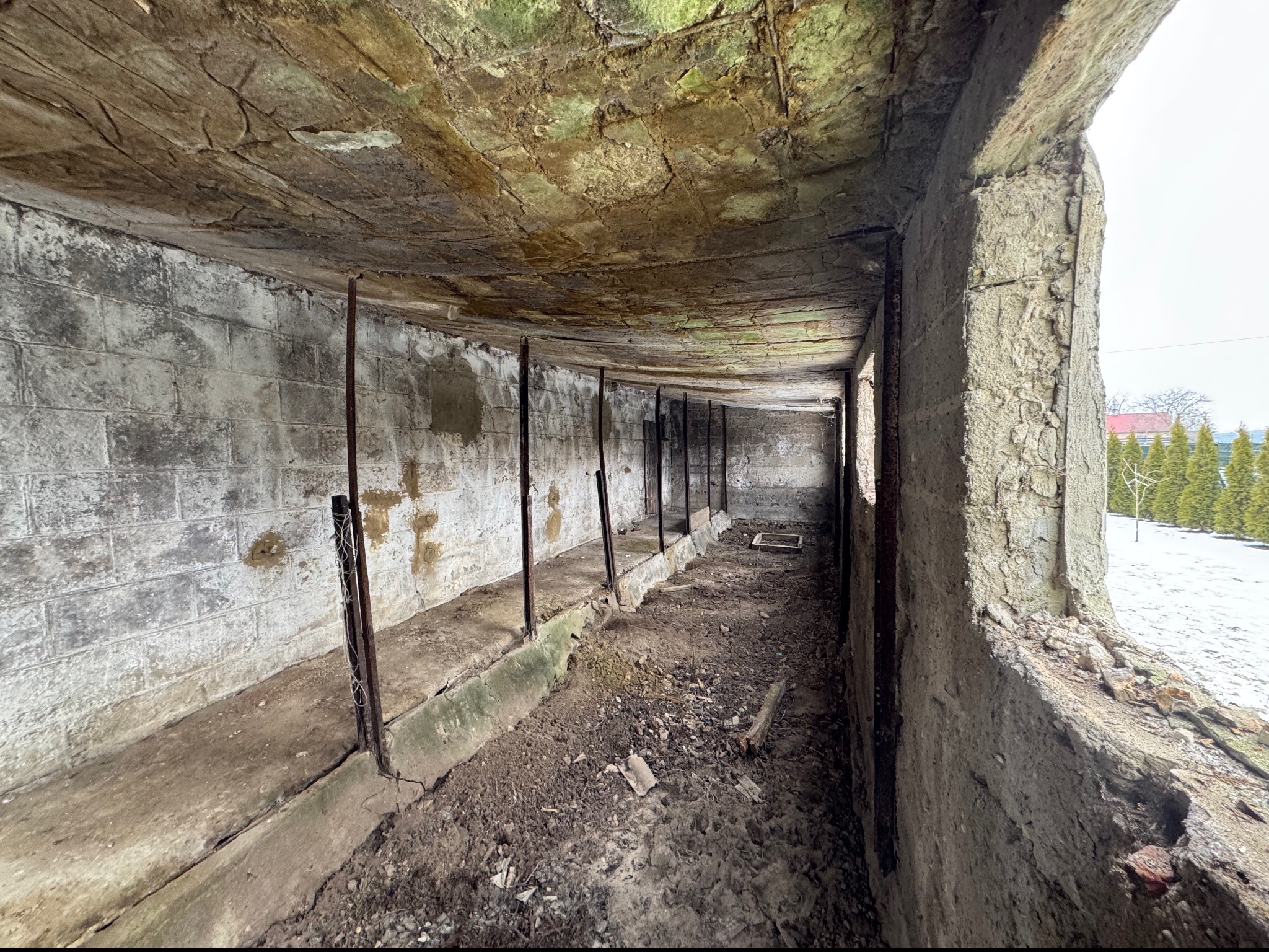 Wnętrze zrujnowanego, betonowego budynku z widocznymi śladami wilgoci i pleśni na ścianach i suficie, z metalowymi prętami podtrzymującymi konstrukcję. Na zewnątrz widać drzewa i resztki śniegu.