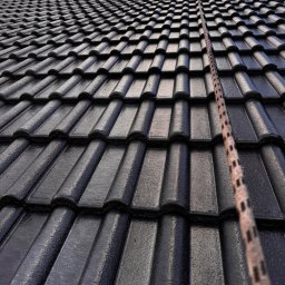 MalProf Renowacje Malowanie Dachów i Elewacji - Błyszczący, czarny dach z dachówki ceramicznej, widziany pod kątem. Wzdłuż dachu biegnie lina asekuracyjna. Fragment nieba z chmurami w tle.