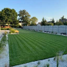 Trawa z rolki Zielona Góra 2