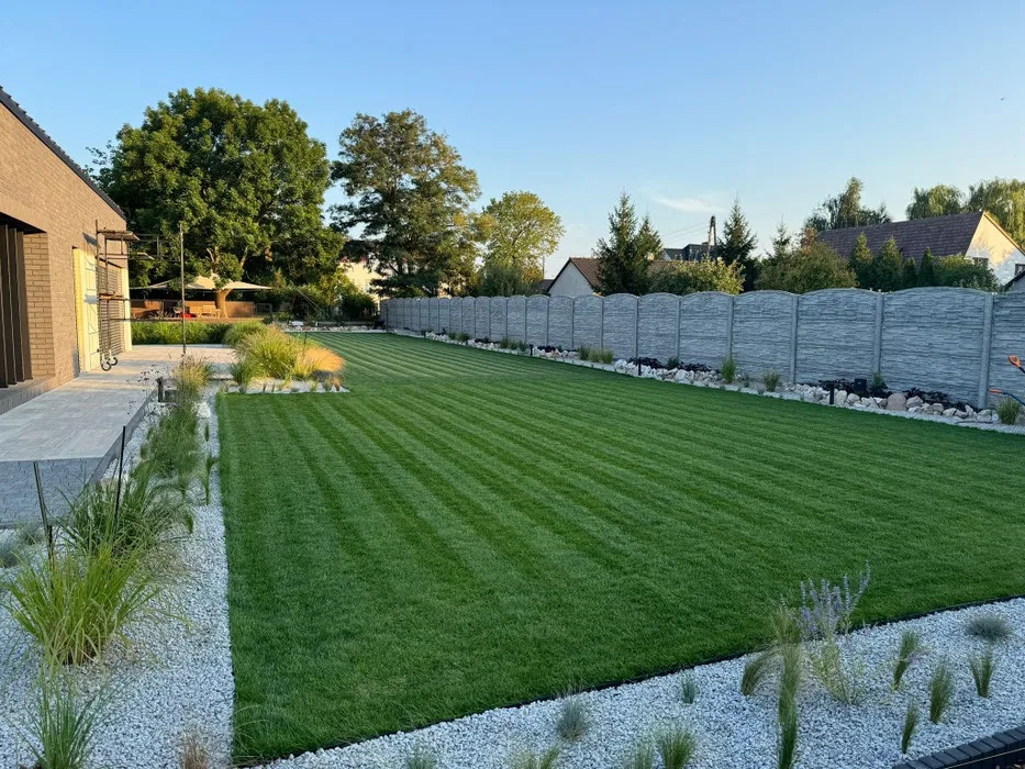 Perfekcyjnie skoszony trawnik z wyraźnymi pasami, obrzeża z białego grysu i ozdobnych traw, betonowy płot w tle, widok na zadbany ogród przydomowy.