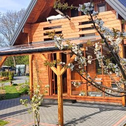 Stolarz Borzechów 2