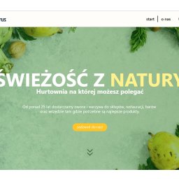 Strona wizytówka hurtowni warzyw i owoców z Rumii - Cytrus.

https://cytrusrumia.pl