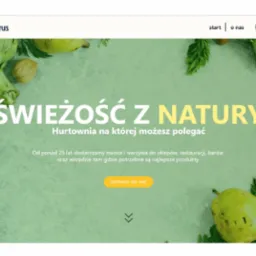 Strona internetowa hurtowni warzyw i owoców Cytrus Rumia z grafiką karczochów, gruszek i tekstem 'Świeżość z natury'.