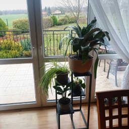 Jakub Przepiórka - Metalowy kwietnik, czarny, wielopoziomowy, z roślinami doniczkowymi, na tle okna balkonowego z widokiem na ogród. Minimalistyczny design.