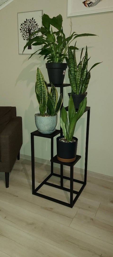 Czarny, metalowy kwietnik schodkowy z roślinami doniczkowymi w nowoczesnym wnętrzu. Minimalistyczna konstrukcja, jasne tło, widoczny fragment sofy.