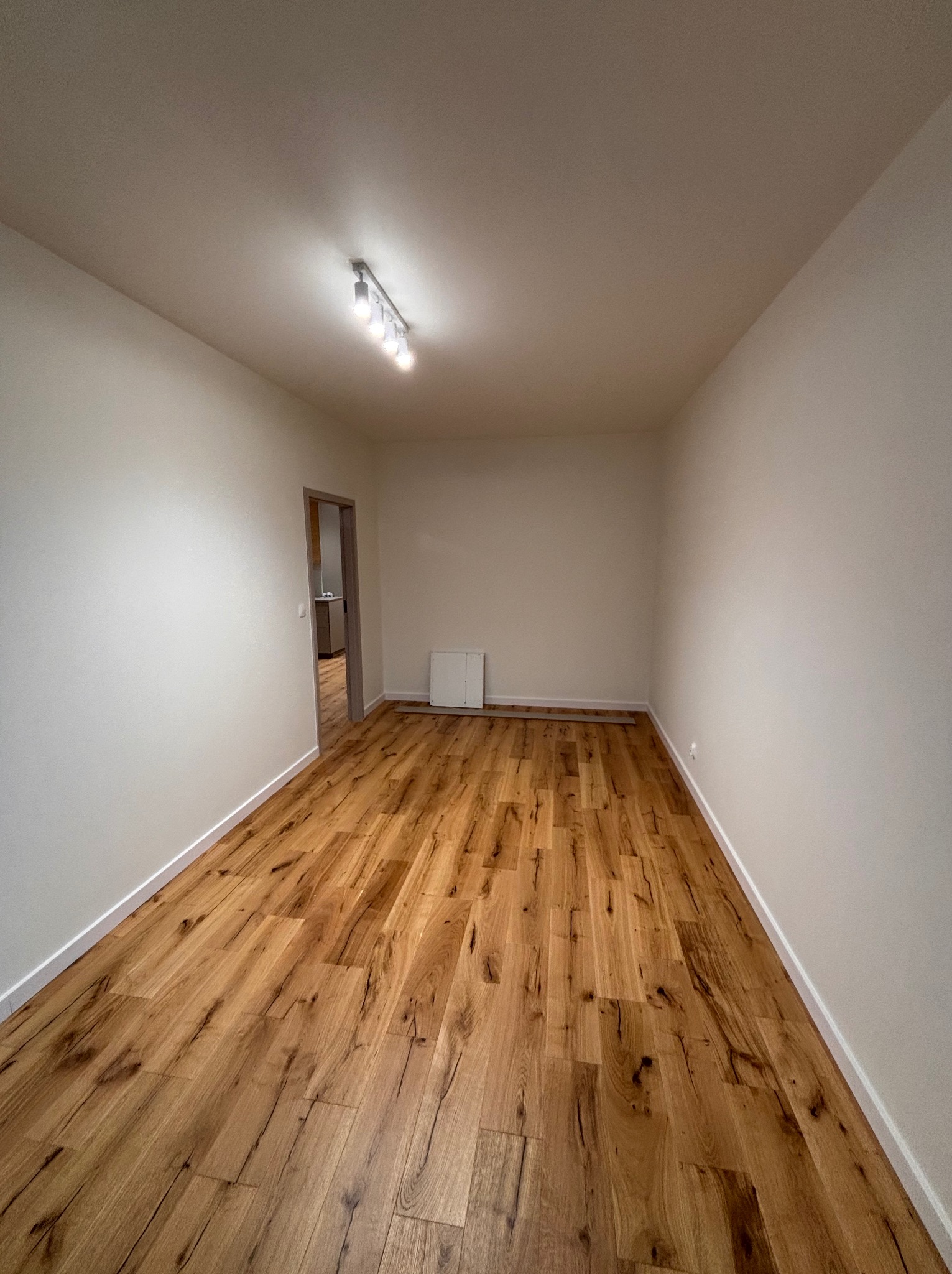 Jasne panele podłogowe w pustym pokoju z białymi ścianami i listwami przypodłogowymi. Widoczny fragment drzwi do innego pomieszczenia i oświetlenie sufitowe.