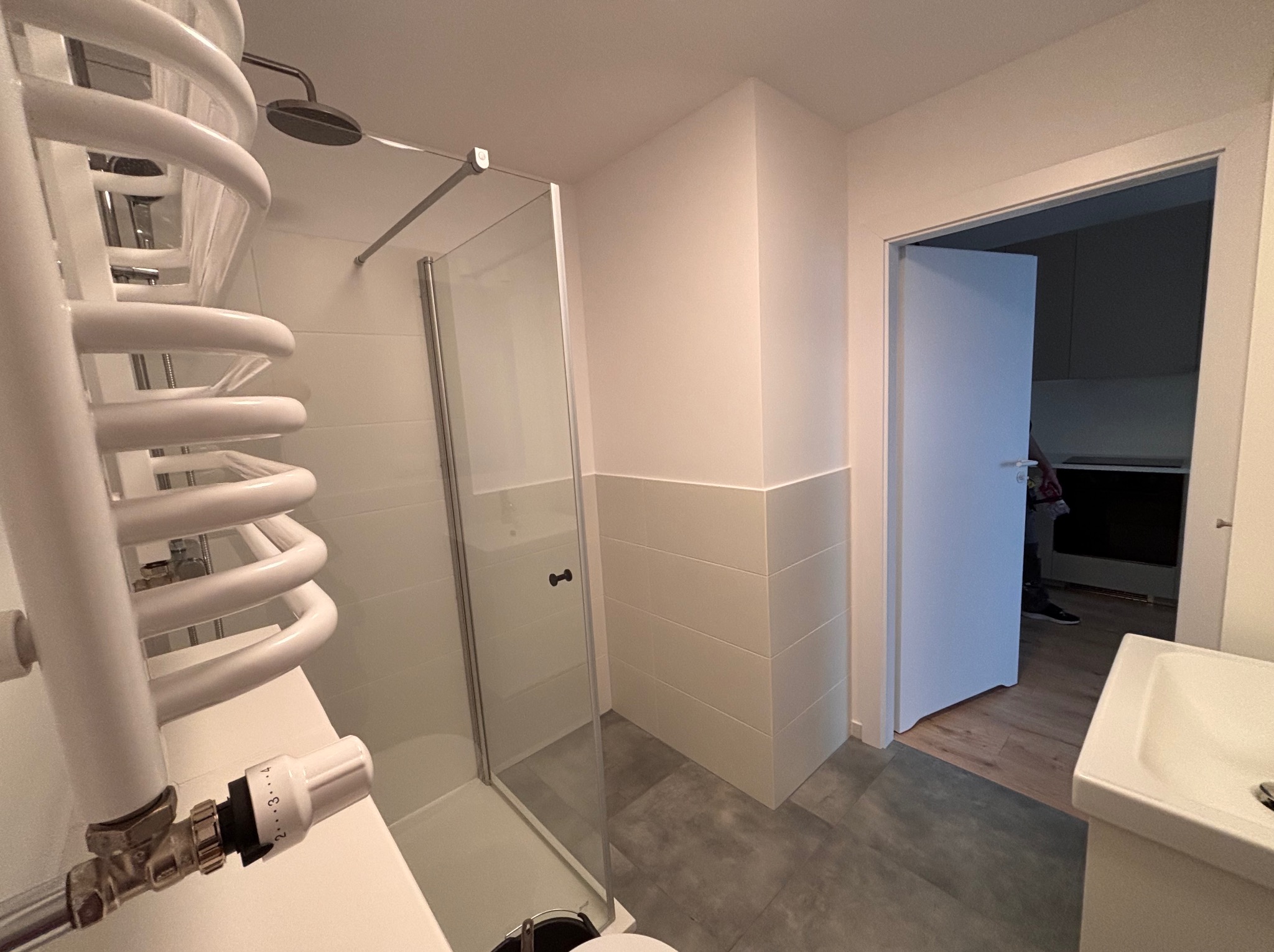 Nowoczesna łazienka po remoncie: kabina prysznicowa ze szklanymi drzwiami, biały grzejnik drabinkowy z termostatem i szare płytki podłogowe. Widok na otwarte drzwi.