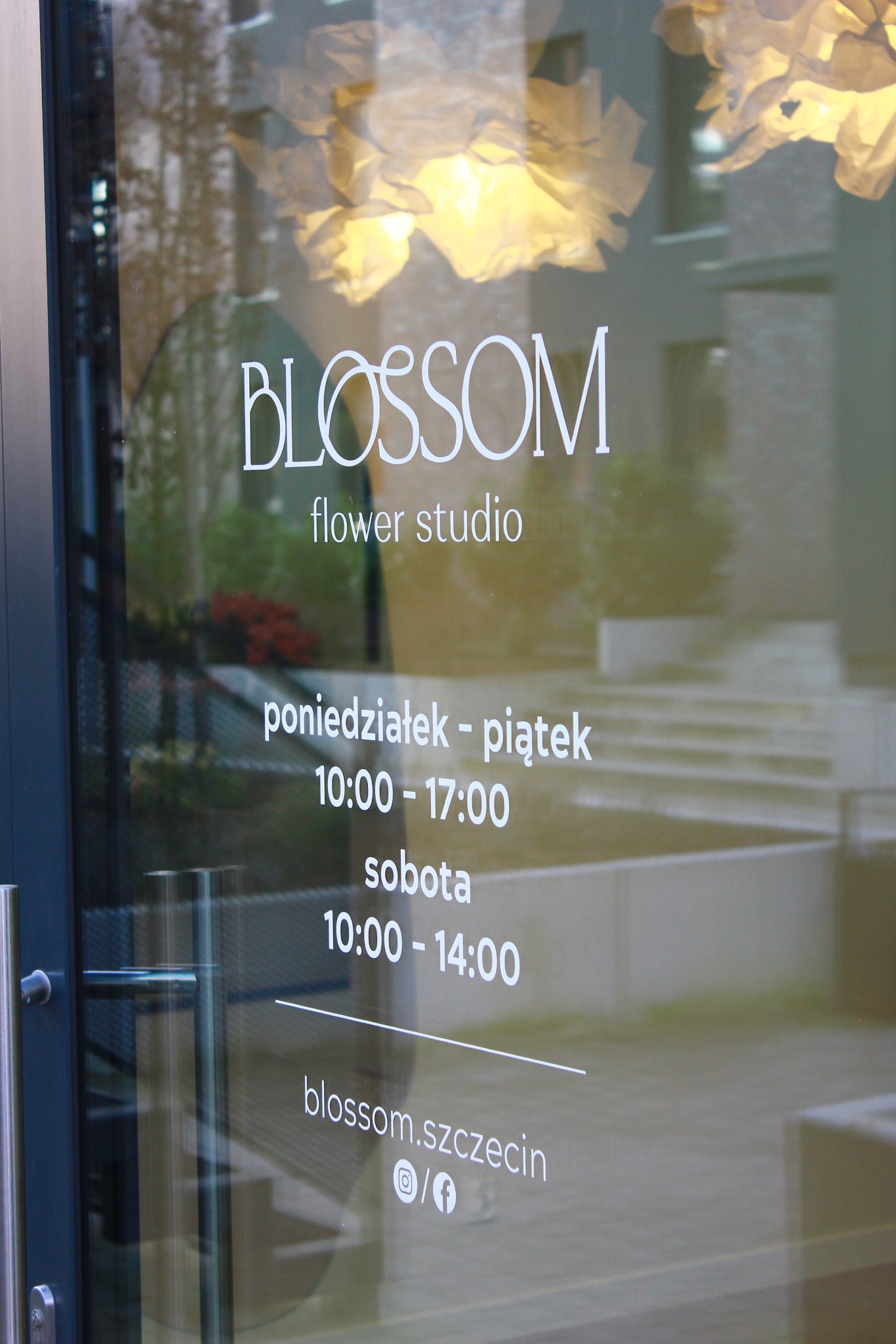 Oklejona witryna kwiaciarni 'Blossom' w Szczecinie z godzinami otwarcia i adresem strony internetowej. Widoczne odbicia wnętrza i dekoracji.