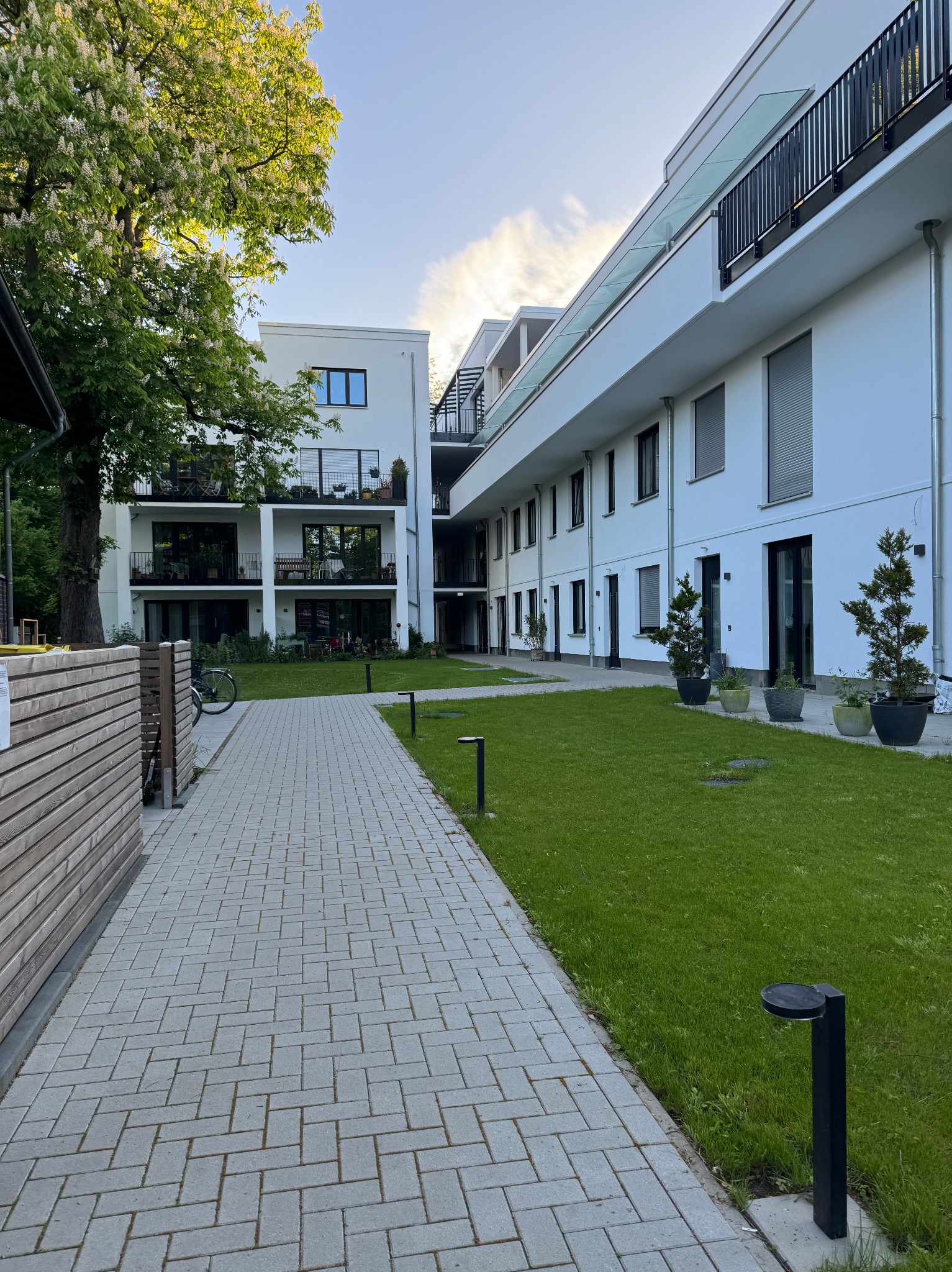 Dziedziniec nowoczesnego apartamentowca z równo ułożoną kostką brukową, zadbanym trawnikiem, ozdobnymi drzewkami w donicach i rowerem opartym o drewniane ogrodzenie.