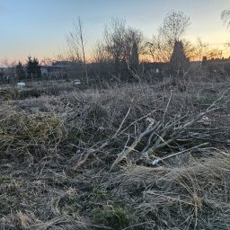 Czyszczenie działki 