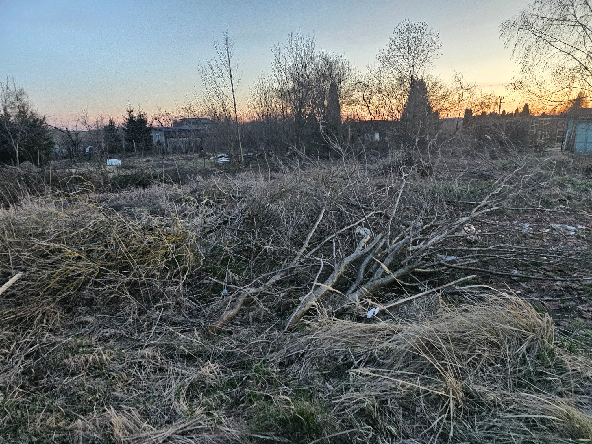 Czyszczenie działki