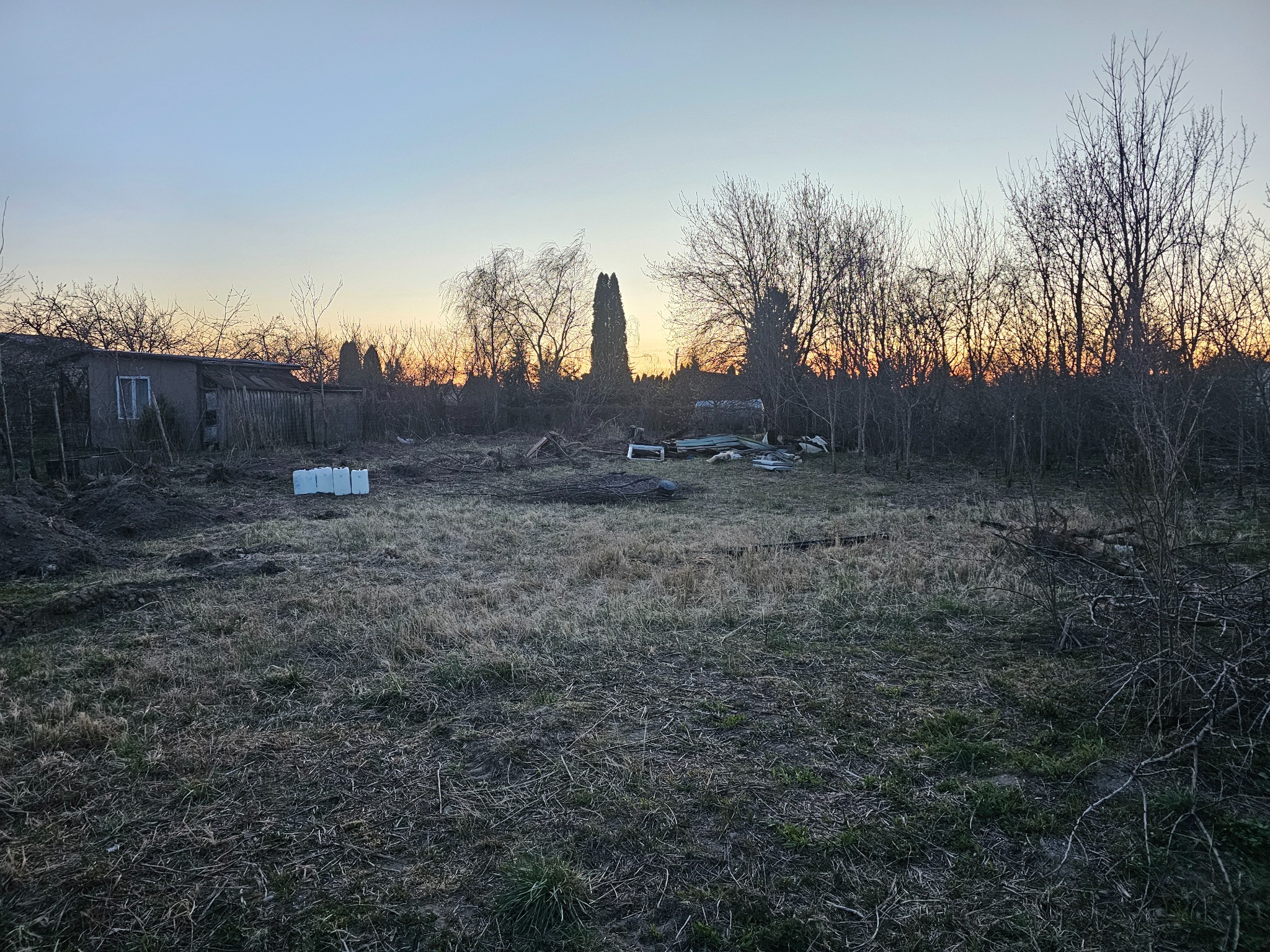 Wykarczowany teren o zmierzchu z widocznymi stertami gałęzi, pozostałościami po wycince i białymi elementami składowymi, prawdopodobnie szamba, w tle budynek gospodarczy i drzewa bez liści na tle...