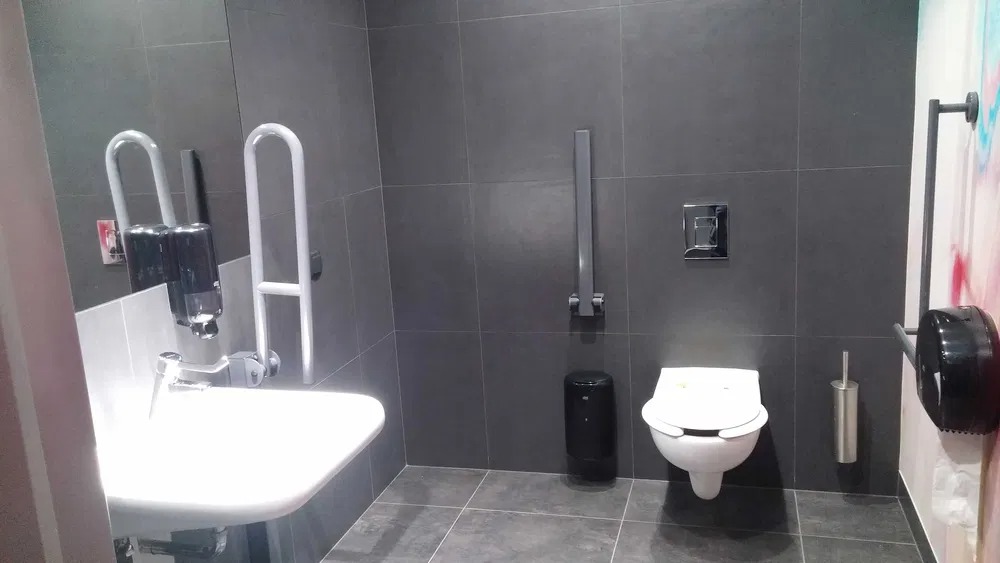 Nowoczesna łazienka w szarościach z udogodnieniami dla osób niepełnosprawnych: umywalka z poręczą, składana poręcz przy toalecie, dozownik mydła w lustrze.