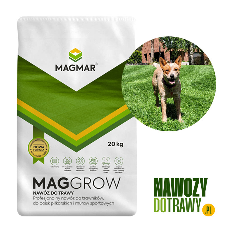 Letni nawóz do trawy