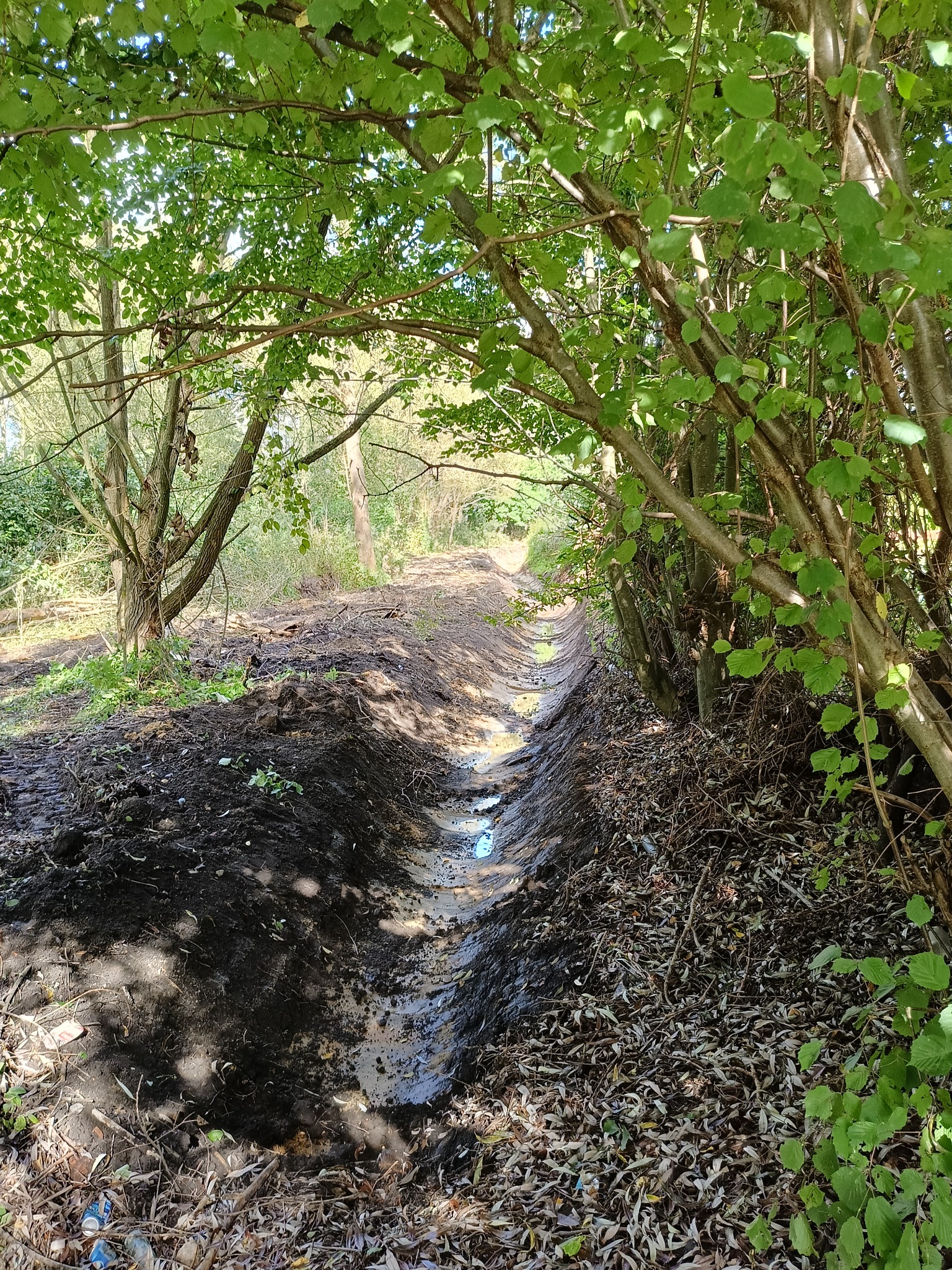 Wykopany rów melioracyjny w lesie, widok z góry, woda w rowie, ślady opon