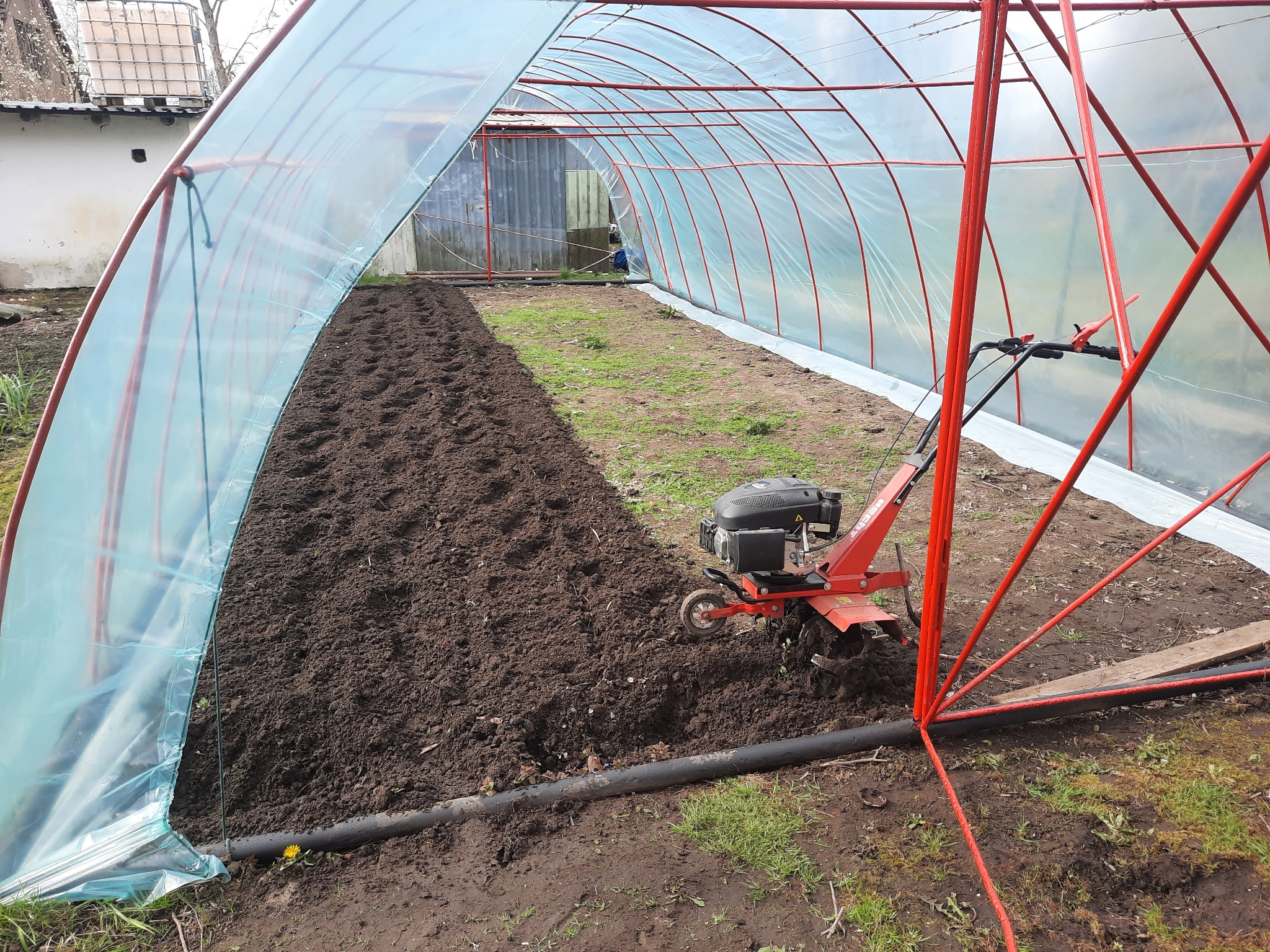 Wnętrze foliowego tunelu z przygotowaną glebą i glebogryzarką, widoczny system nawadniania.