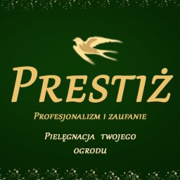 Prestiż - Perfekcyjne Nasadzanie Drzew w Lubaniu