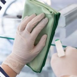 Usługi Sprzątająca - Pralnia Dywan&oacute;w Niedary