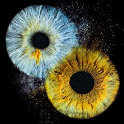 A-EYE GALLERY SPÓŁKA Z OGRANICZONĄ ODPOWIEDZIALNOŚCIĄ - Zdjęcie tęczówek oka zakochanej pary.