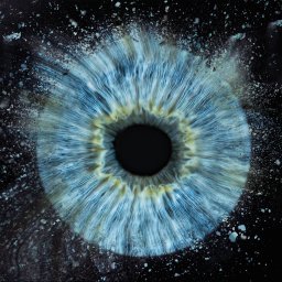 Zdjęcie tęczówki oka.