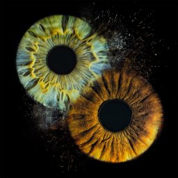 Zdjęcia tęczówki oka w Warszawie.