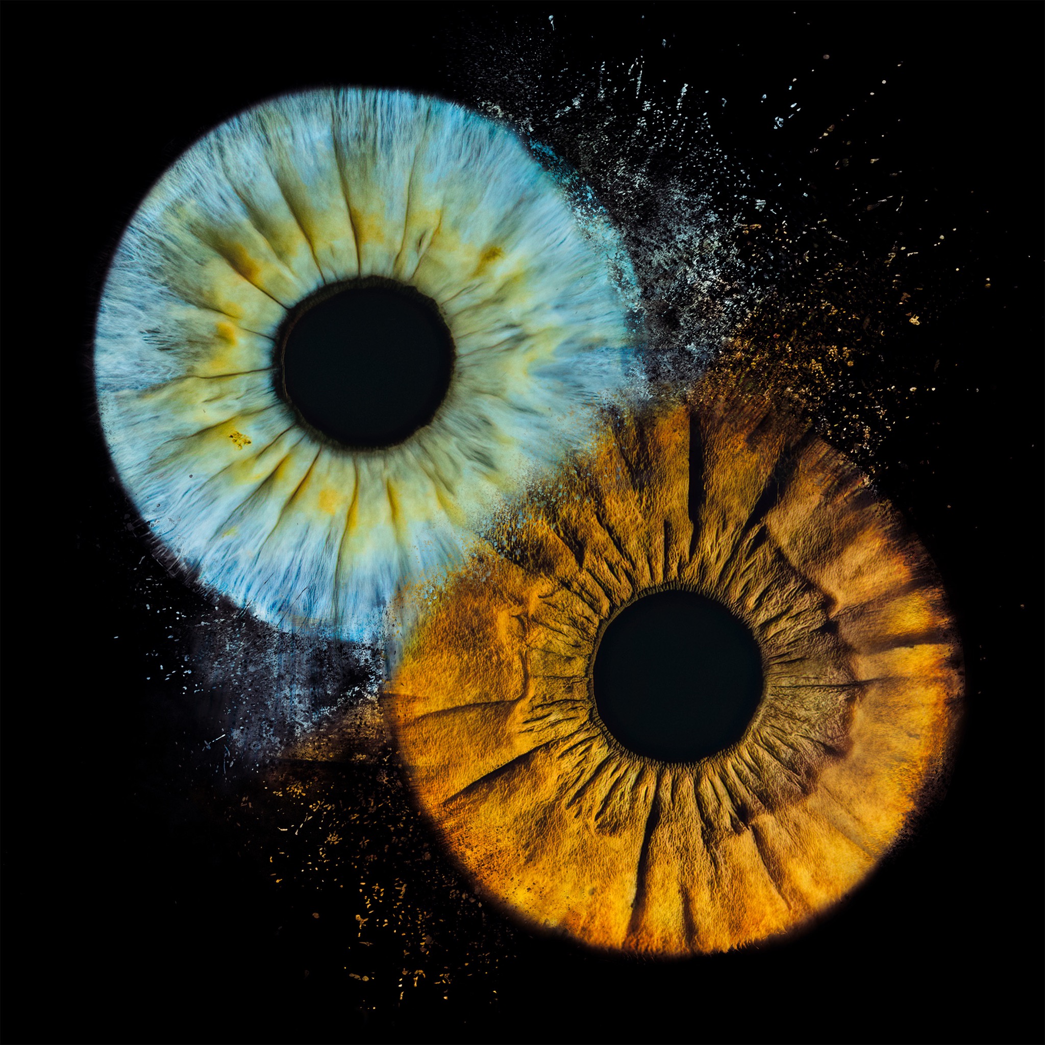 Zdjęcie tęczówki oka.