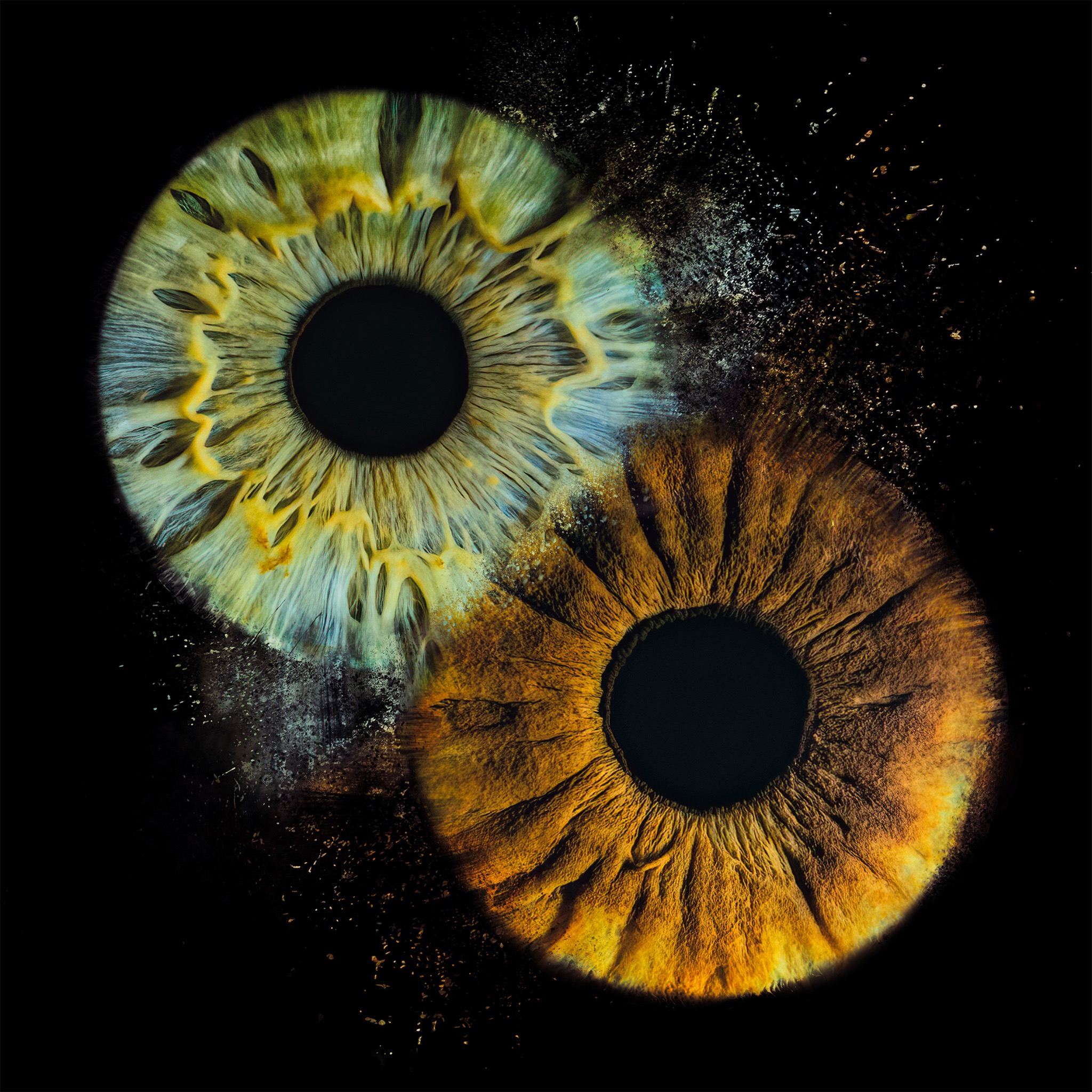 Zdjęcia tęczówki oka w Warszawie.