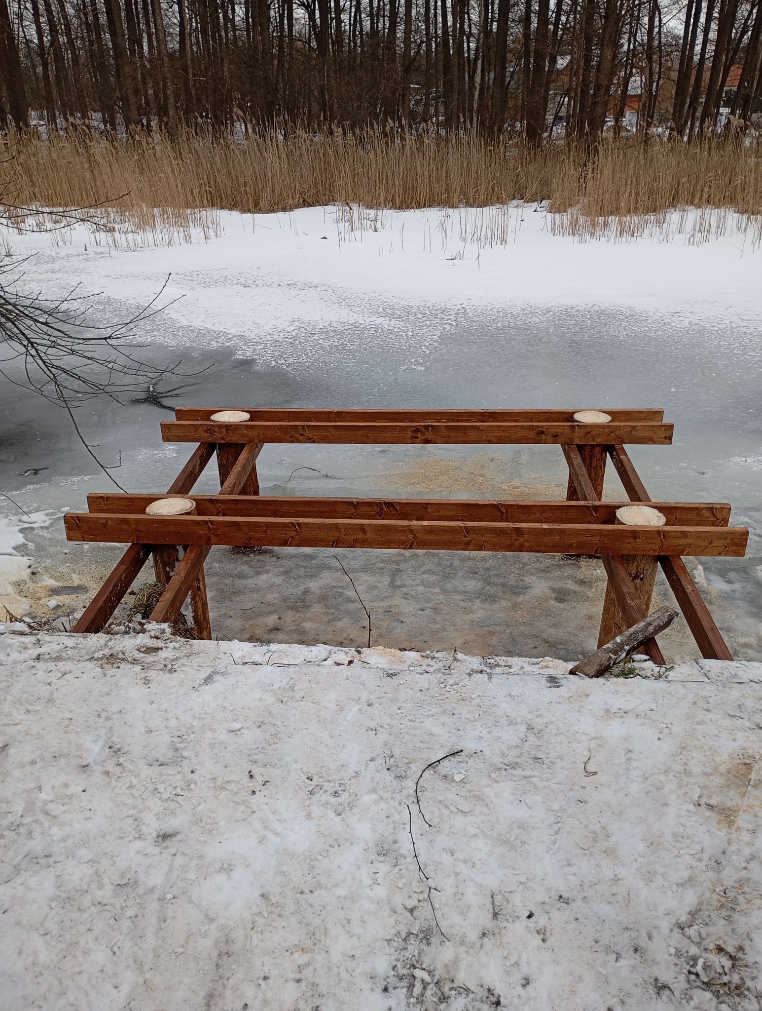 Brązowa, drewniana konstrukcja w trakcie budowy na tle zamarzniętego jeziora i lasu; widoczne ślady cięcia drewna i śnieg.