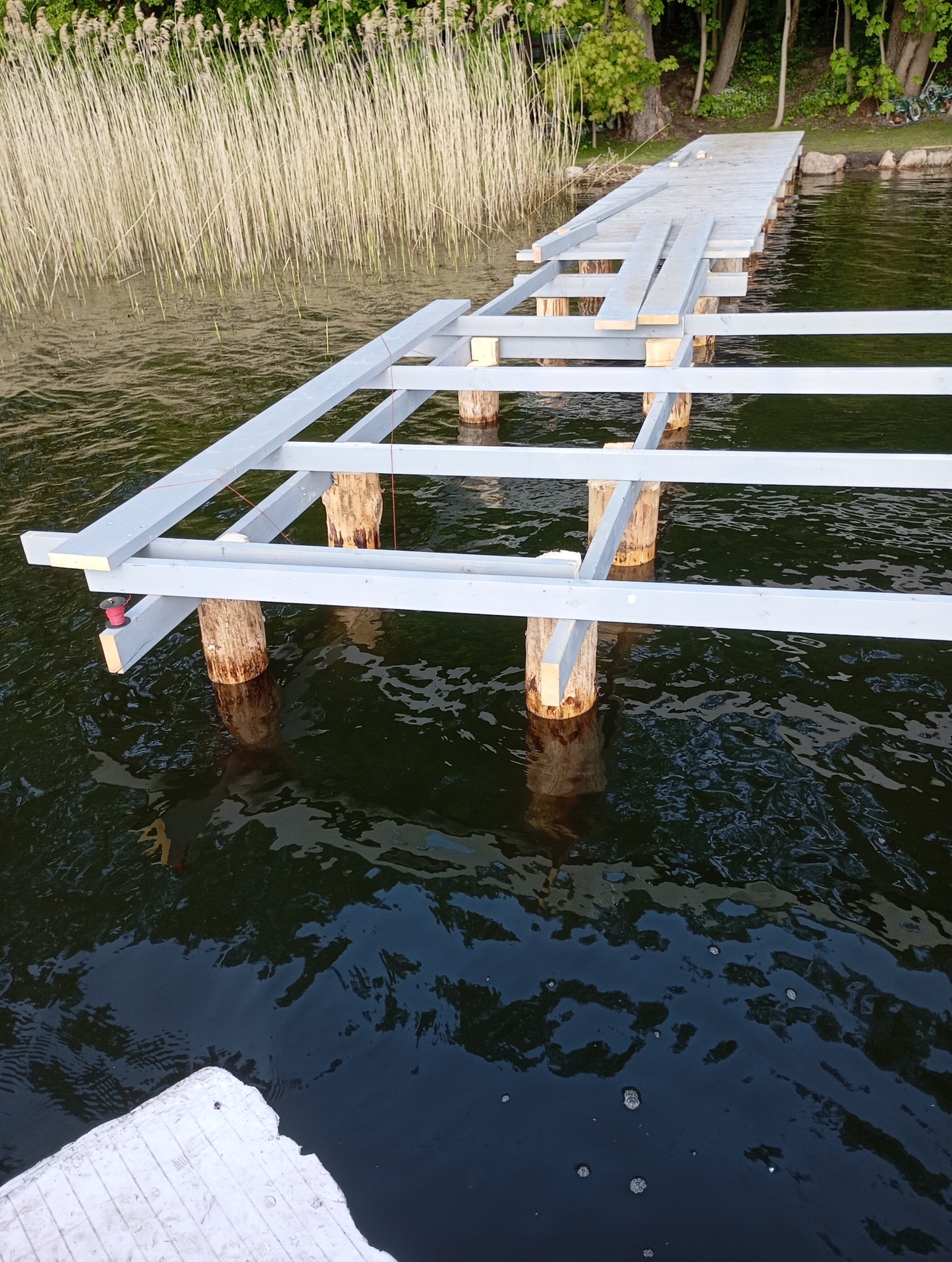 Budowa pomostu: szara drewniana konstrukcja na palach w wodzie, częściowo wykończona deskami. Widoczne trzciny i drzewa w tle. Ujęcie z dołu.