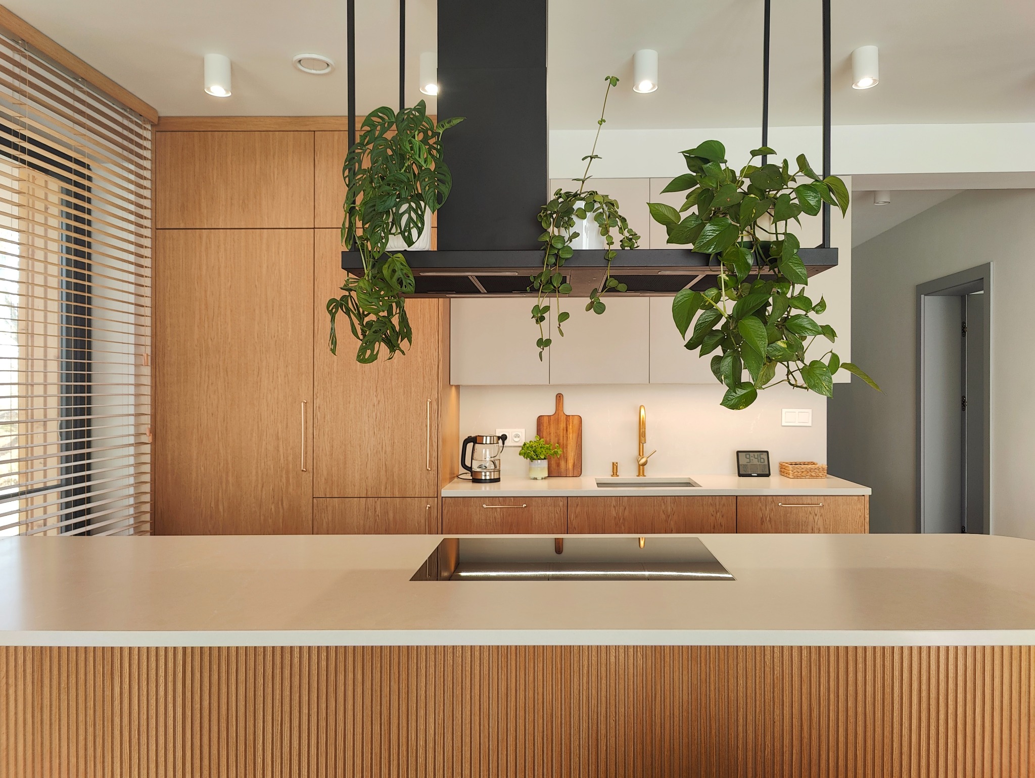 Nowoczesna kuchnia z drewnianymi frontami, wyspą z płytą indukcyjną i wiszącymi roślinami doniczkowymi nad blatem roboczym.