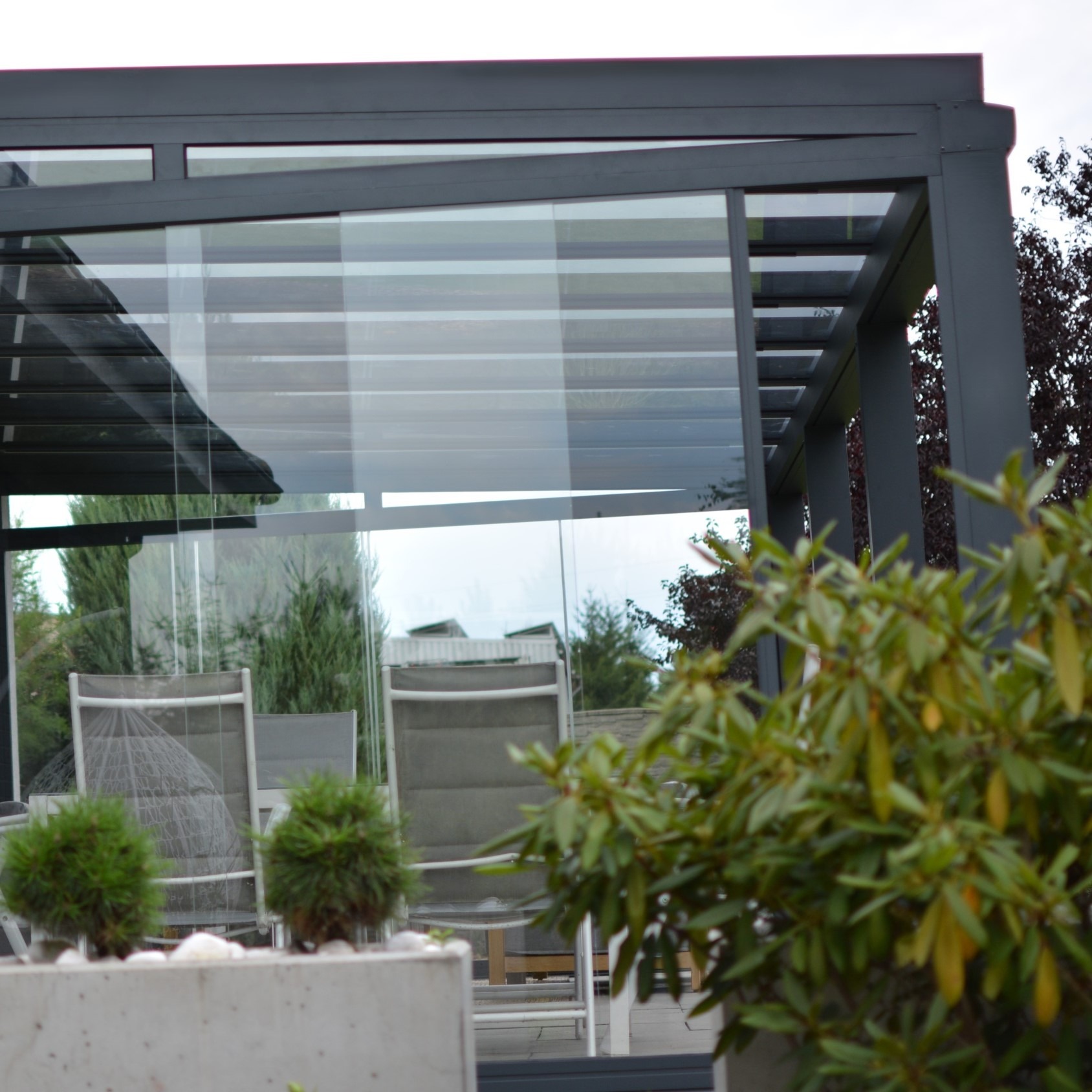 Szara pergola z przeszklonym dachem i ścianami bocznymi, widok z zewnątrz, z roślinami na pierwszym planie i krzesłami wewnątrz.
