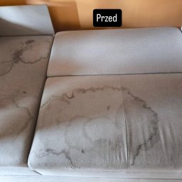 Wycinka drzew Łódź 1